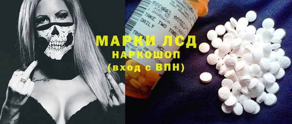ГАЛЛЮЦИНОГЕННЫЕ ГРИБЫ Михайлов