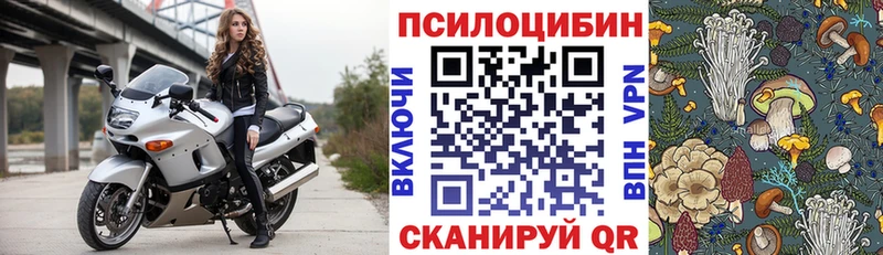 МЕГА рабочий сайт  закладки  Борисоглебск  Псилоцибиновые грибы мицелий 